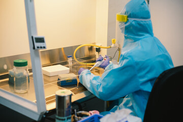 A scientist in PPE safty uniform pipetting sample experiment in biological safety cabinet (BSC).