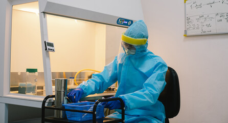 A scientist in PPE safty uniform pipetting sample experiment in biological safety cabinet (BSC).