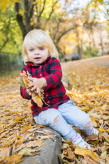 little girl with blue eyes sitting on fallen leaves and playing fun