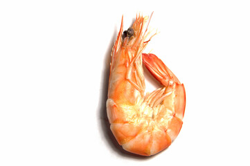 Shrimp on a white background