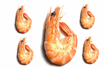 Shrimp on a white background