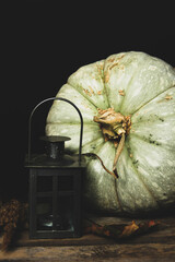 Pumpkin and lamp on a black background. Harvesting. Thanksgiving Day. Wallpaper