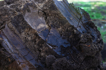 The texture of brown loose soil with excavator marks.
Top view closeup photo. Natural eco-environment.