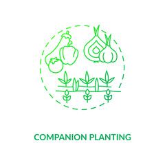 Companion planting concept icon. Organic farming principles. Vegetables and fruits farmming places. Healthy garden products idea thin line illustration. Vector isolated outline RGB color drawing