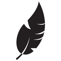 Icon of a feather of a bird depicting exotic feather
