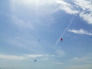 Naklejka na ściany i meble paragliding in the sky