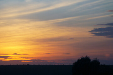 The golden sky with clouds over the dark forest is colored by the setting sun.