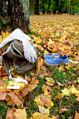 Backpack on the background of Golden autumn. Theme for Hiking and recreation