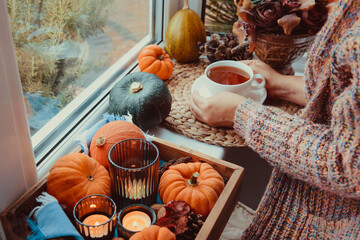 Female hands holding cup of tea near autumn cozy mood composition on the windowsill. Pumpkins, cones, candles on wooden tray. Slow living, relax. Fall, hygge home decor. Selective focus. Copy space.