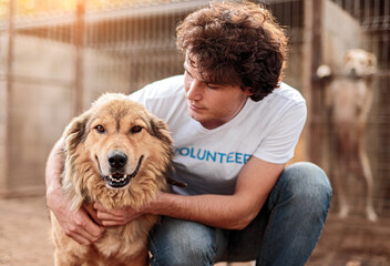 Volunteer taking care of dog in shelter