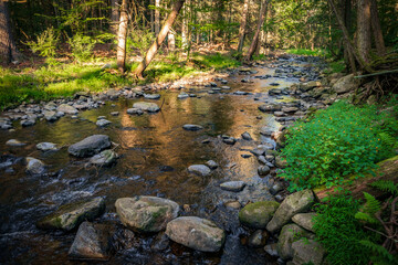 Stream Frozen Action