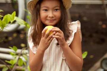 7-8 years old girl collect lemons from tree, going to try it. child loves nature, during excursion. nature, environment concept