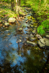 Stream Frozen Action
