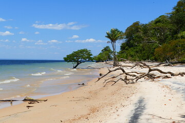 Tropical Amazon landscape panarama view, paradise with the sandy river beach and the crystal clear...