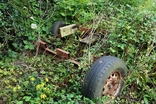 old trailer in undergrowth
