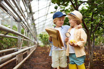 little volunteers collect lemons in lemonarium of garden, two caucasian kid boys cultivating healthy attitude to the environment