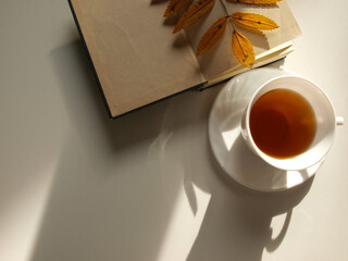 Cup of tea with book, autumn leave on white background