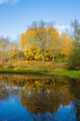Colorful trees and reflection in the pond, autumn in Fagervik, Finland