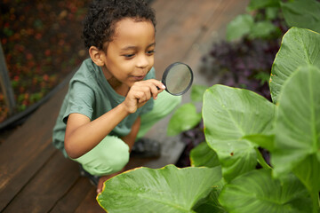 sweet mixed race child boy use magnifier in greenhouse, learn environment, look at plants growing...