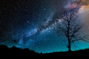 Fototapeta na wymiar Beautiful starry sky with bright milky way galaxy. Night landscape. Dry tree on the hill on the starry sky backround.