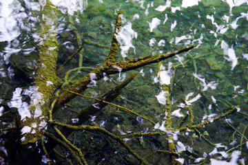 Abstract water natural details in Plitvice National Park, Croatia, Europe
