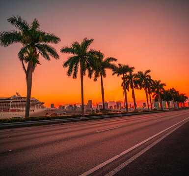 sunset in the city  views miami florida usa beautiful palm colors sky orange tropical 