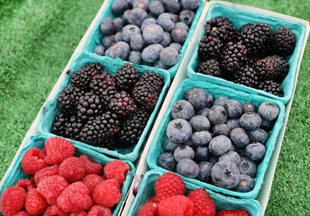 berries in containers 