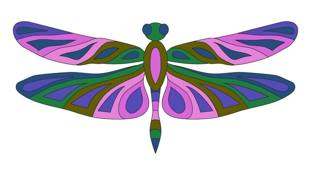 Dragonfly top view changes color video