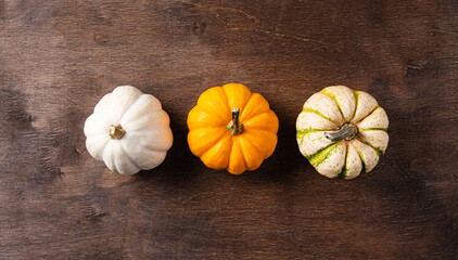 Three colorful decorative pumpkins on dark wooden background