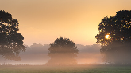 Sonnenaufgang im Teufelsmoor bei Worpswede