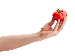tomato in hand path isolated on white