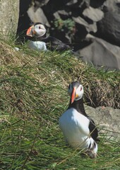 Welcome to my place!