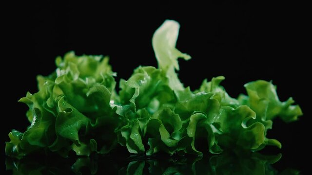 Splash de lechuga verde fresca en fondo negro. 240 Fps HD