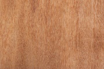 Plywood texture in macro photography
