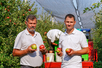 Portrait of Son and Father With Freshly Picked Apples in Hands