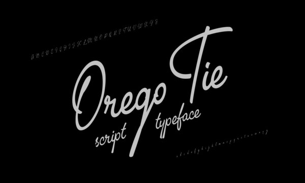 Handwriting font set. Alphabet typeface script style. Vector illustration fonts a to z and number.