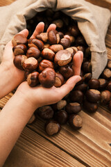 Close up shot of chestnut in the woman hands and a linen bag on a wooden table