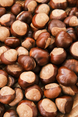 Close up shot of chestnut side by side