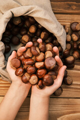 Close up shot of chestnut in the woman hands and a linen bag on a wooden table