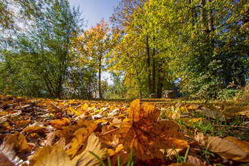 Herbst - Park - Laub - Blätter - Oktober - Allgäu