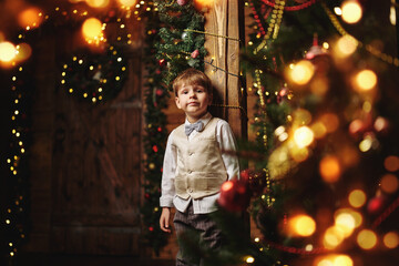 Christmas holidays in home
