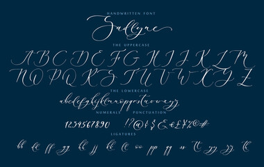 Fototapeta na wymiar Handwritten script cursive calligraphy playful font Sadlyne vector alphabet set