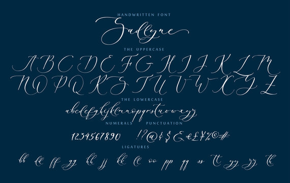 Handwritten script cursive calligraphy playful font Sadlyne vector alphabet set
