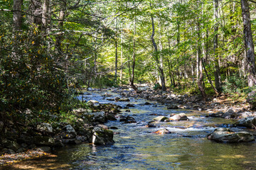River in the forest, The Virginia Creeper Trail, Abingdon, VA, USA