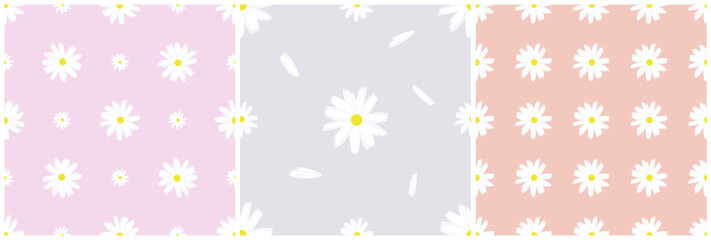 Set of seamless patterns. 3 pictures with daisies on pink and gray backgrounds. For fabrics or textiles, bedding and packaging. Pastel shades. Vector


