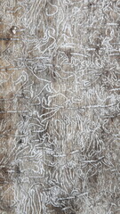 White woodworm tracks on brown wood trunk under bark close up, natural random decorative texture for vertical background wallpaper