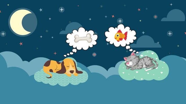 pets sleeping on the clouds  loop animation footage