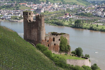 Tourismus Rüdesheim am Rhein