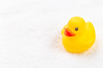 One rubber duck on white terry bath towel, place for copy space, horizontal, closeup