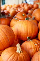 ハロウィン用に大量に並んだパンプキン